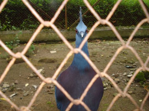 DSC03744_1